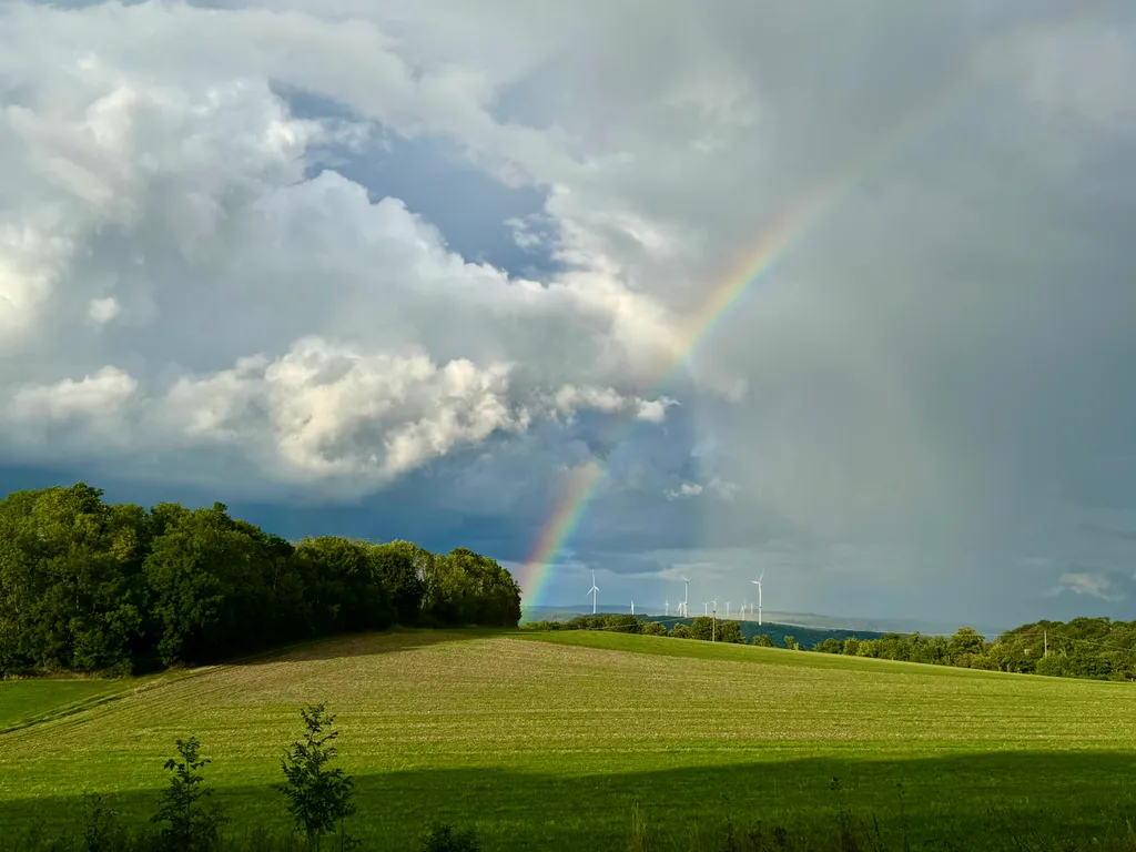 Bild von John für den Spot 1445