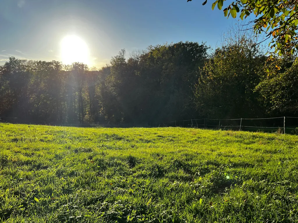 Abgelegene Senke am Walnussbaum