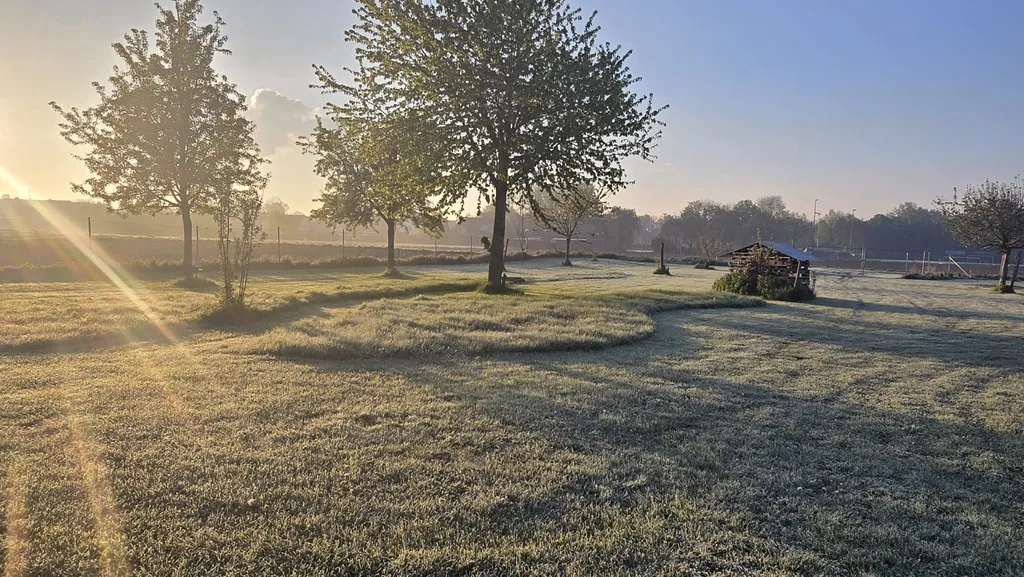 Die Streuobstwiese