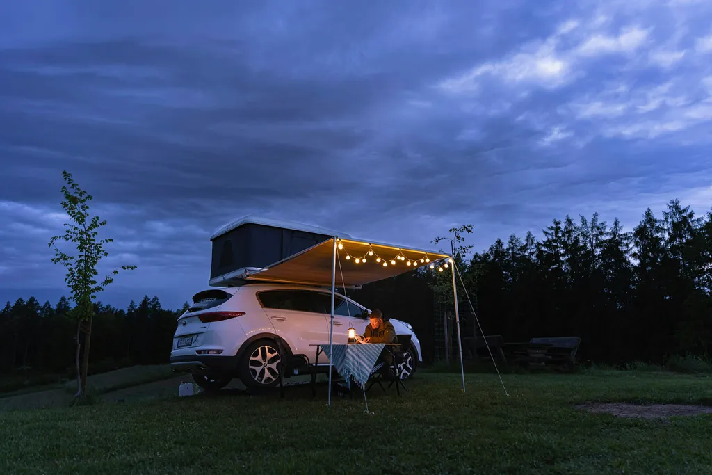 Wiese am Hirschgehege