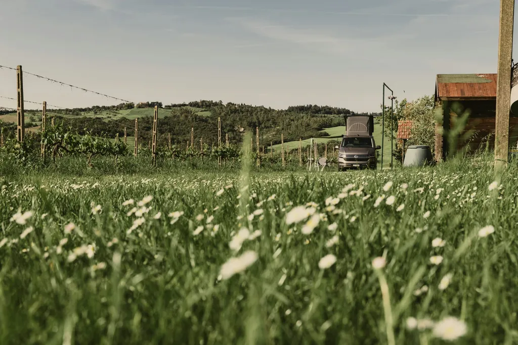 Camp Agriturismo Le Selvole