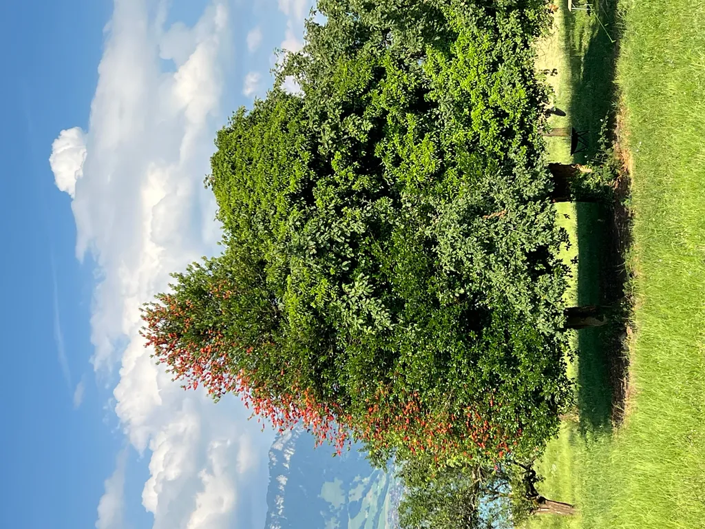 Bild von Alessandro für den Spot 897