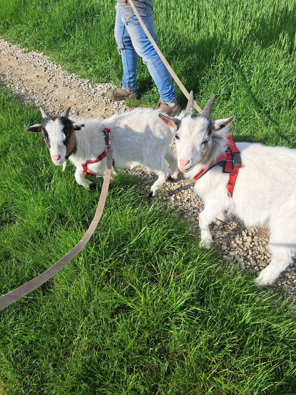 Gnaden-Begegnungshof Sandlerranch