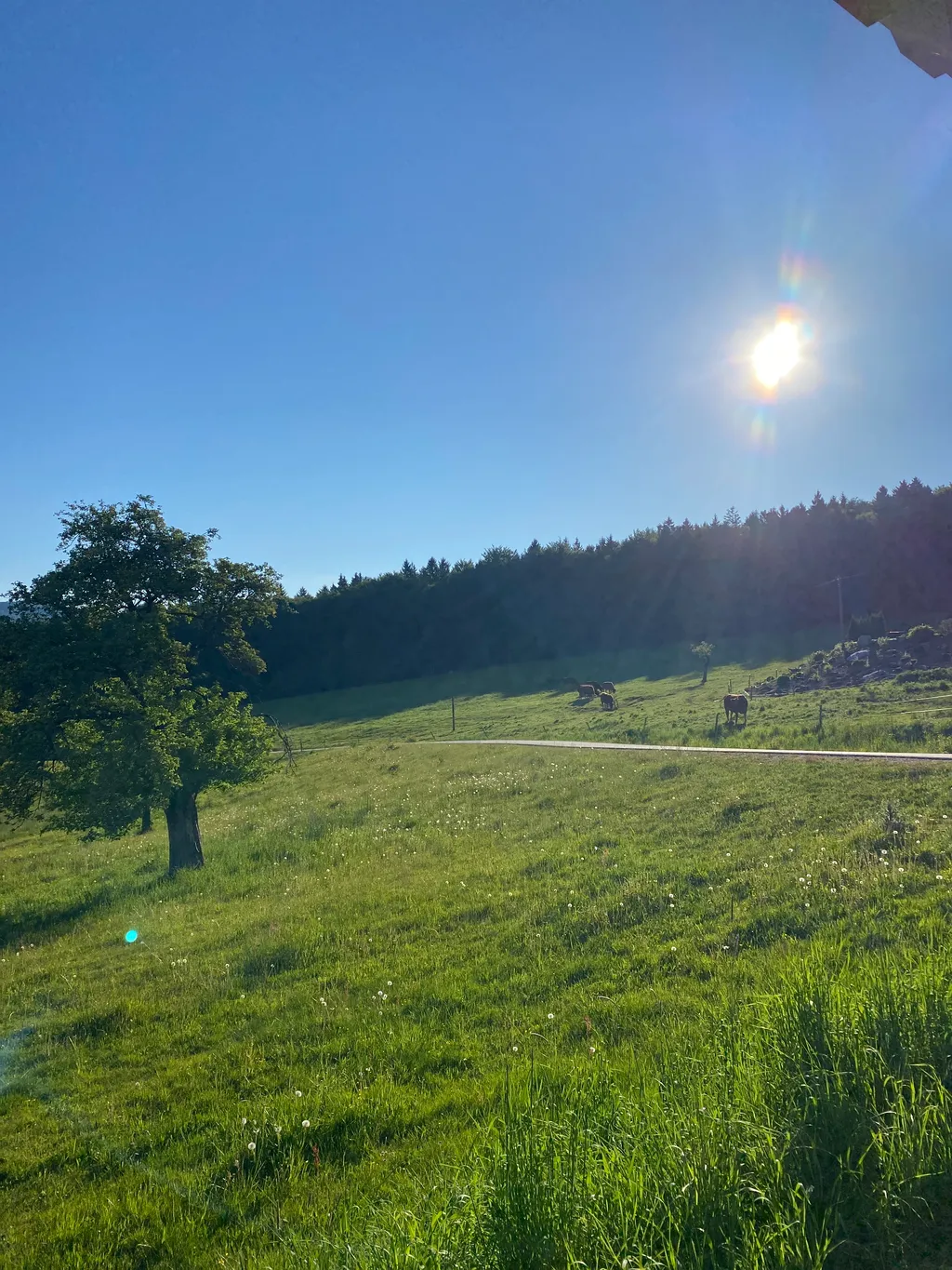 Blick in die Ferne im Bayerischen Wald