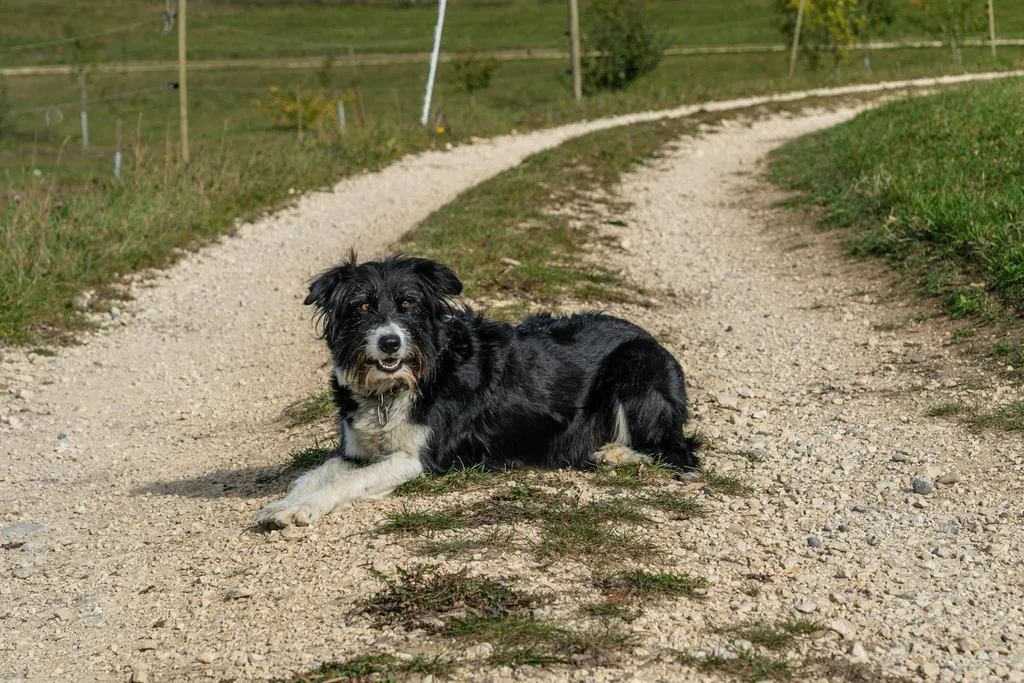 Campen auf dem Wetzenhof