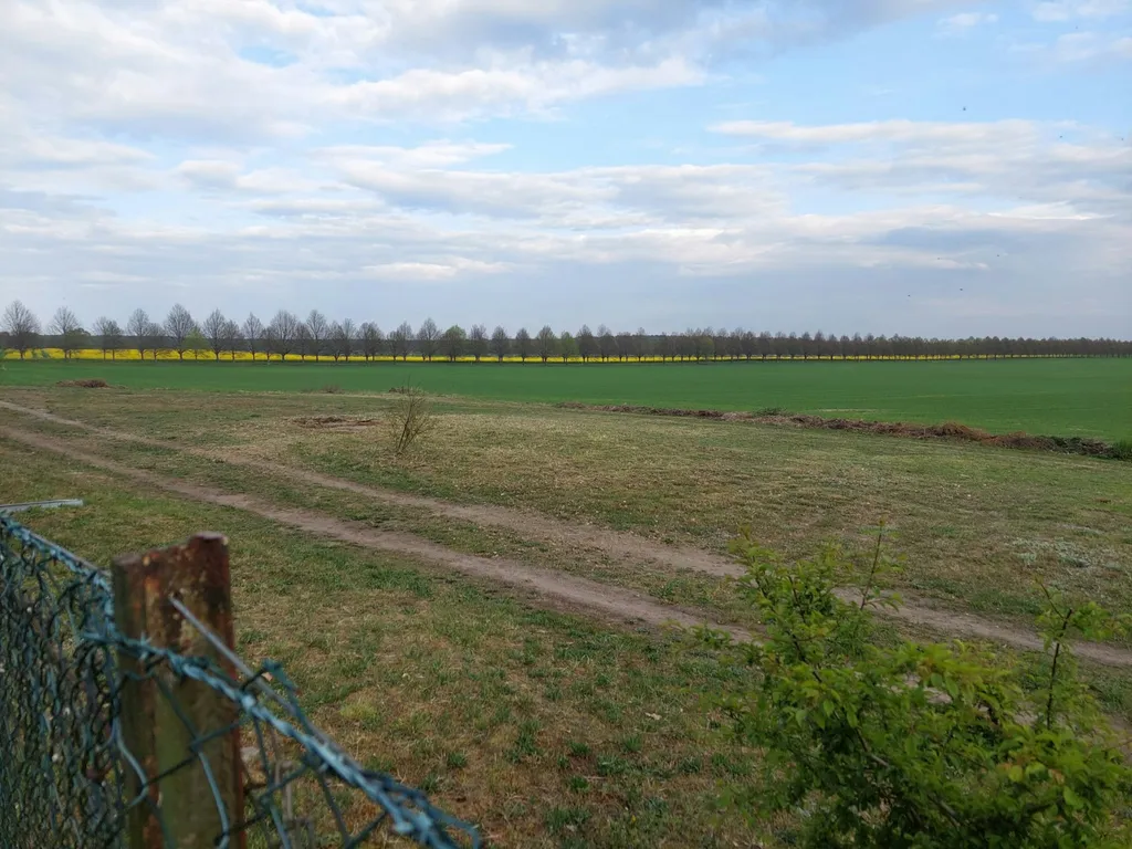Natur Pur in Mecklenburg-Vorpommern