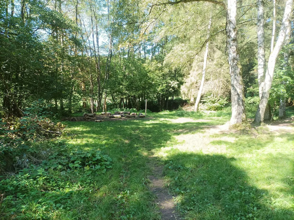 Holzhütte mit 3000m² Waldgrundstück