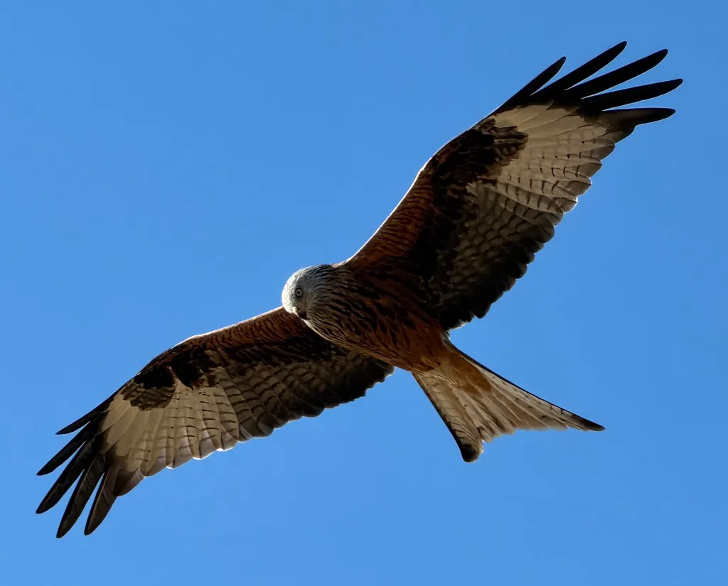 Bild von Rahel für den Spot 635