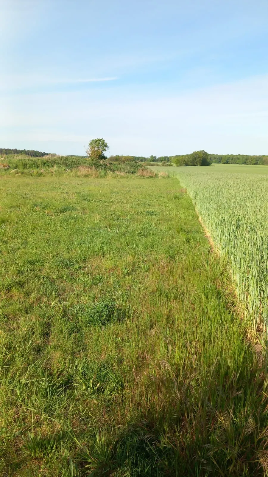 Natur & Ruhe geniessen