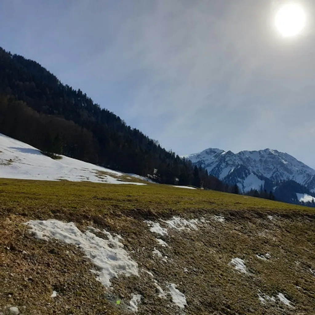 Camp Fuhra im Jauntal