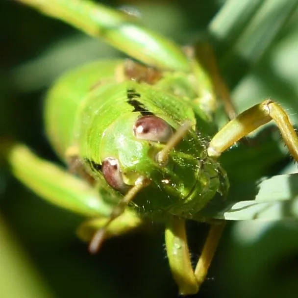 Profilbild von Björn