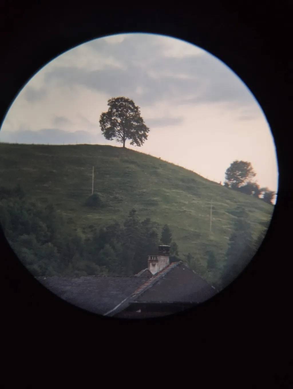 Bild von Kevin für den Spot 421