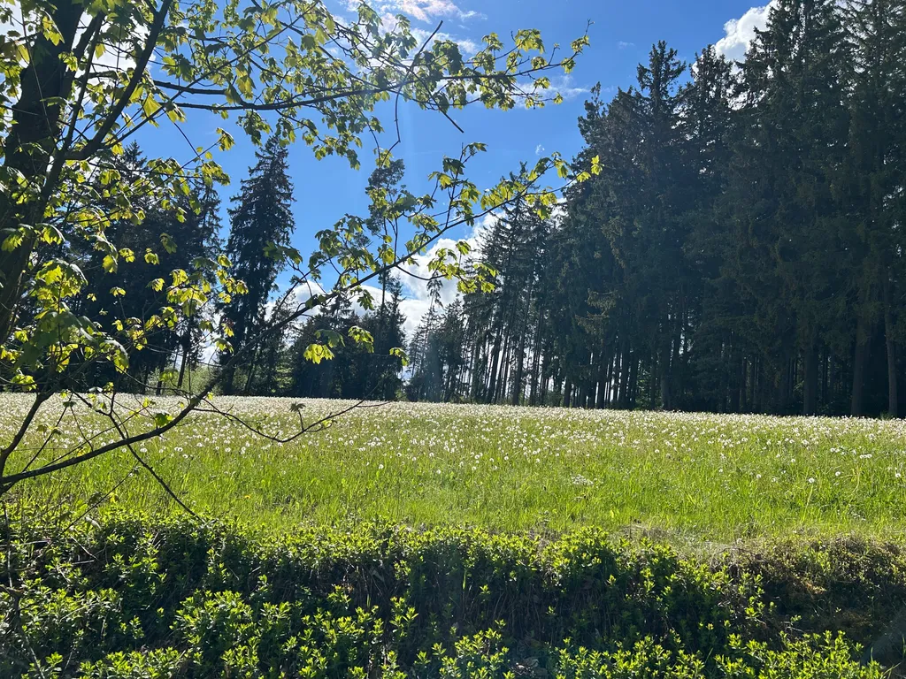 Bild von Patrick für den Spot 2847