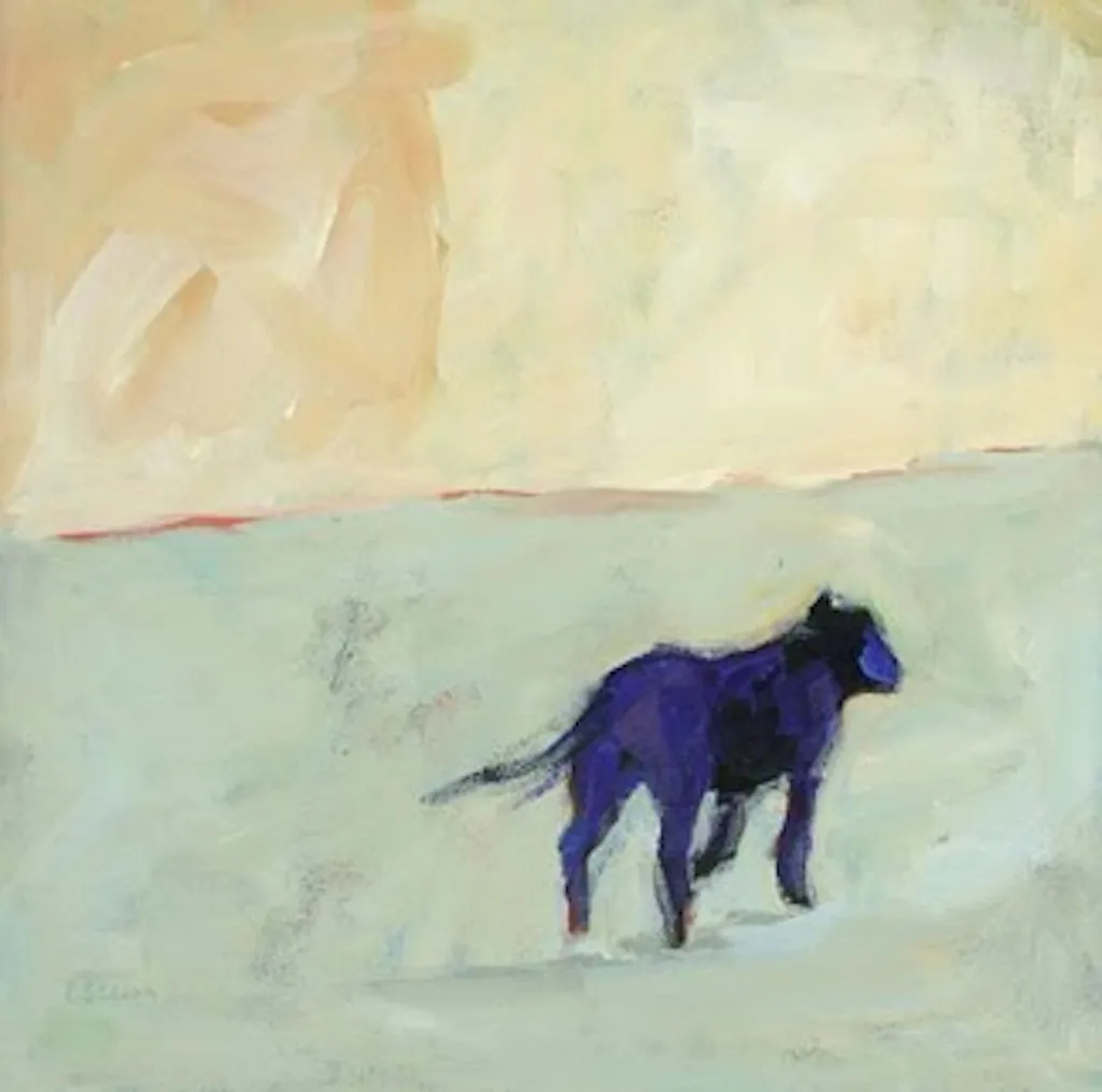 Profilbild von Sebastian