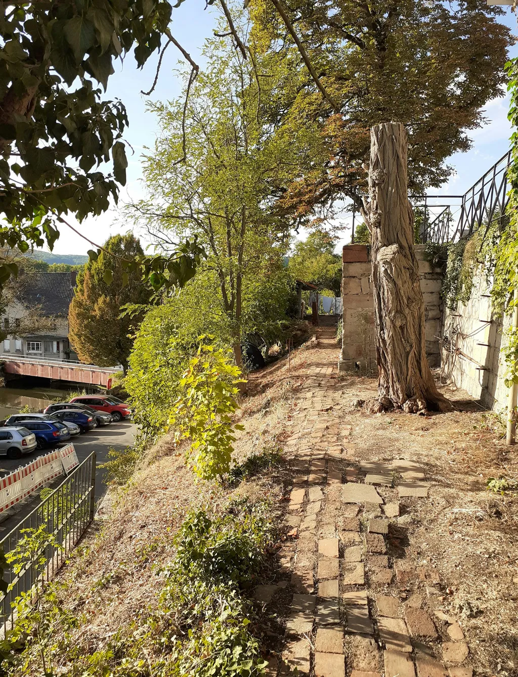 Zelten mit Stadtmauer u. Werrablick