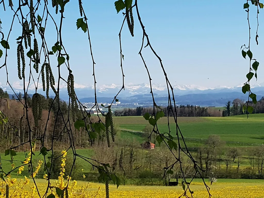 Panoramablick Alpstein