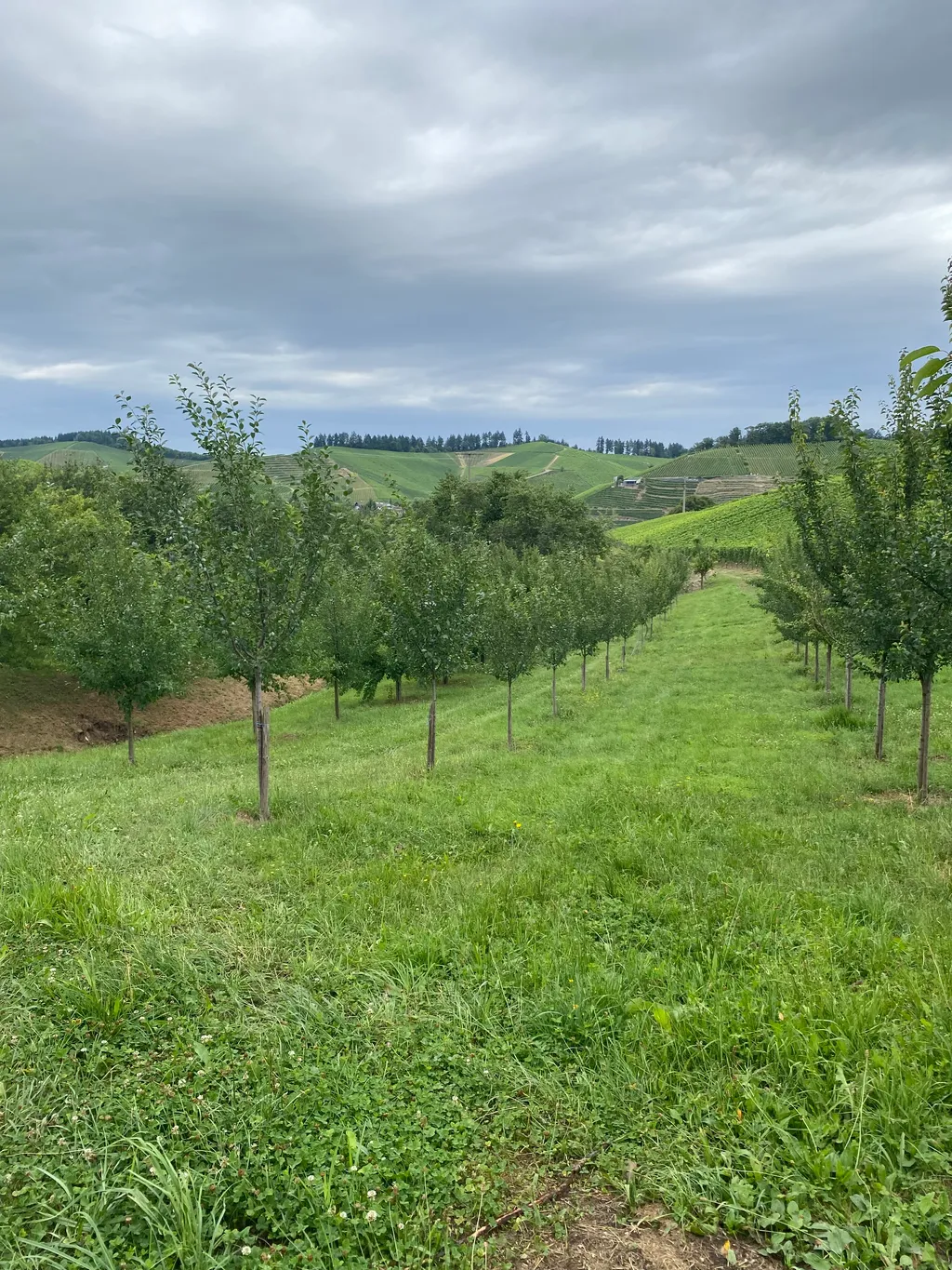 Bild von Gisela für den Spot 1586