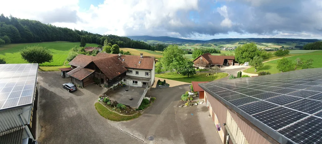 3. Camp beim Himmelricher Apfelbaum