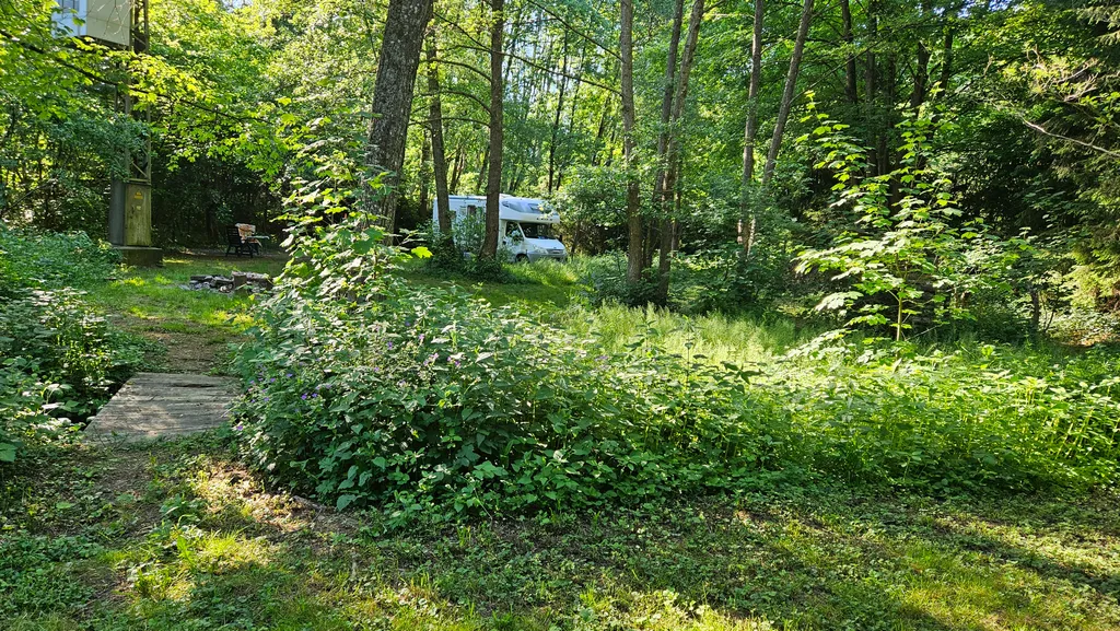Bild von Monika für den Spot 1584
