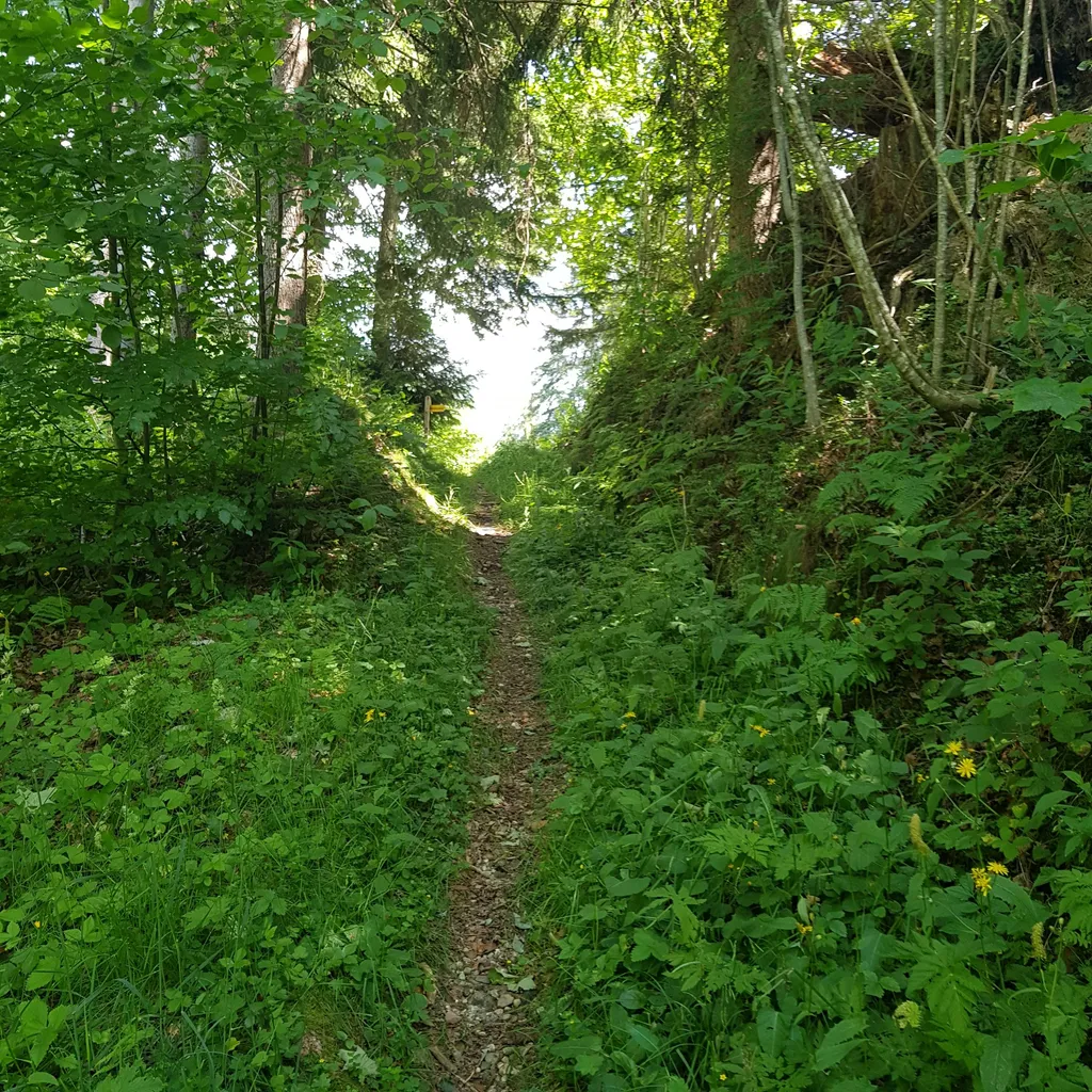 #Wandern