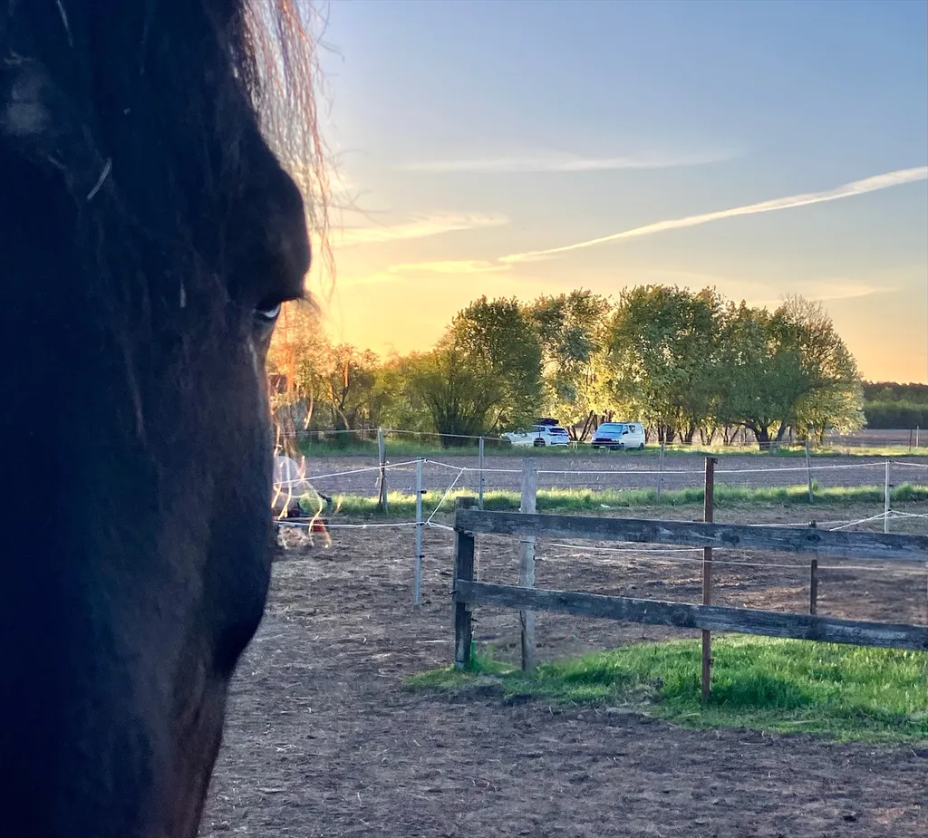 Morgenstimmung im Camp…