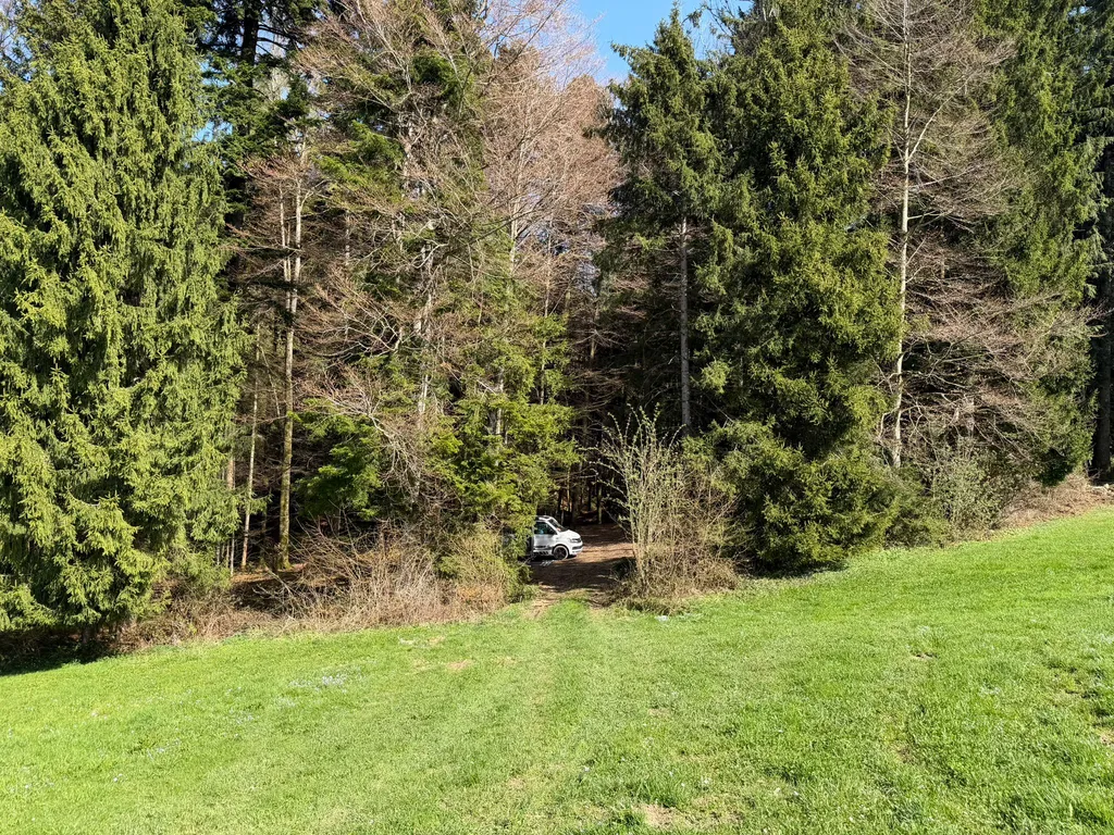 Bild von Claire für den Spot 207