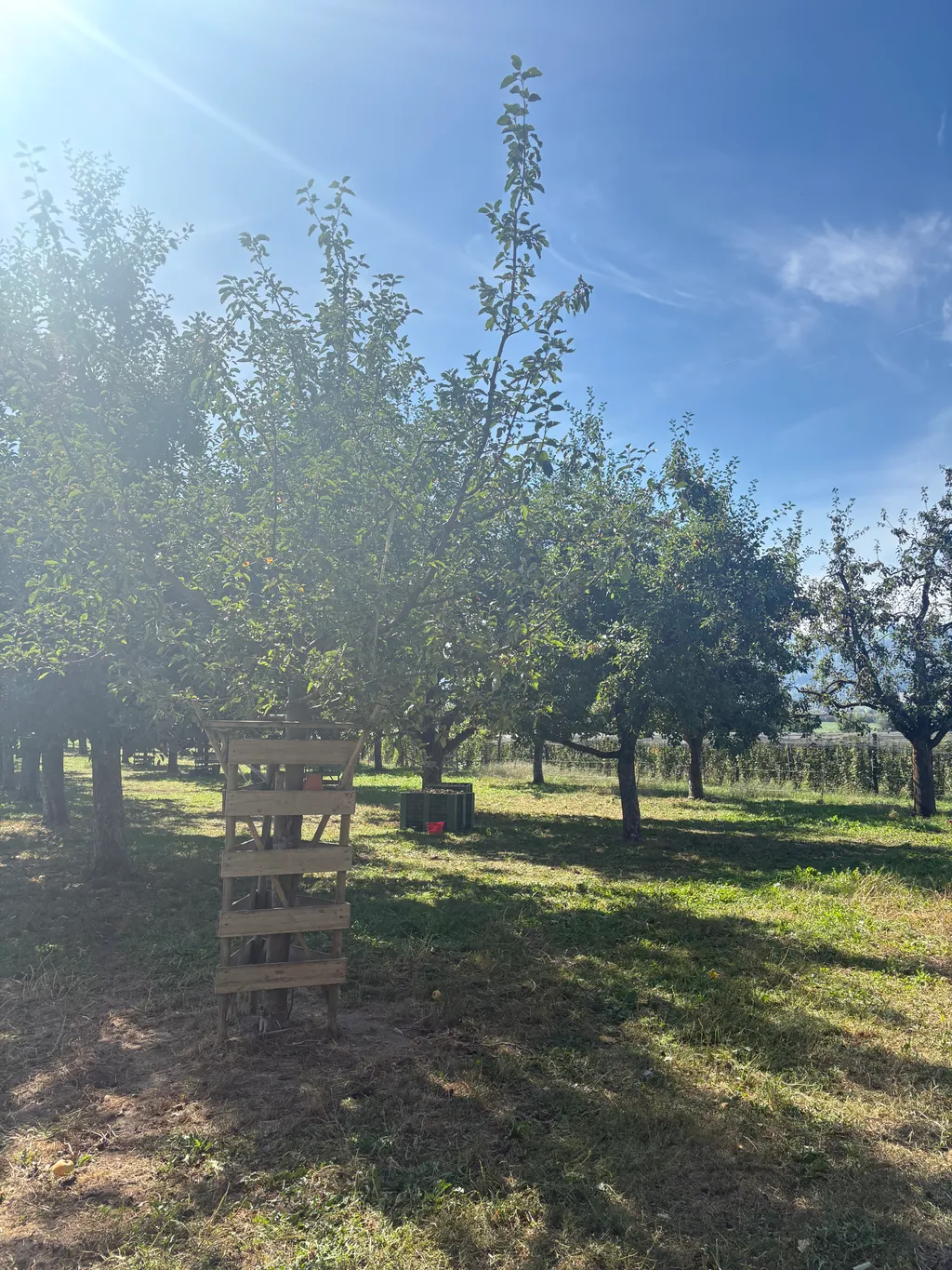 Im Bio-Obstgarten zwischen zwei Seen