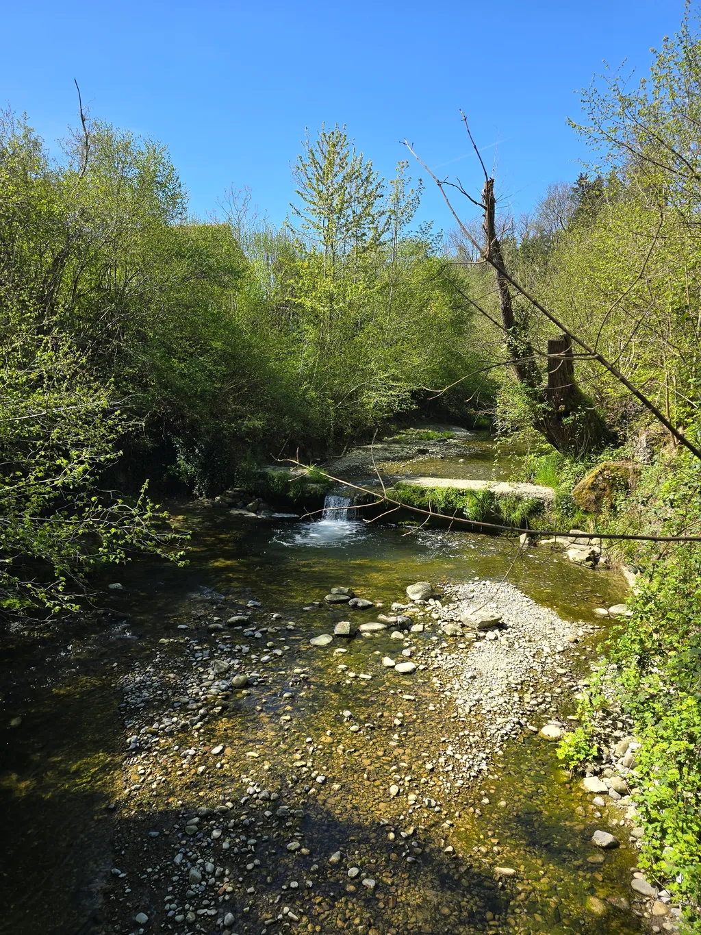 Gartenwiese mit Flussbadestelle