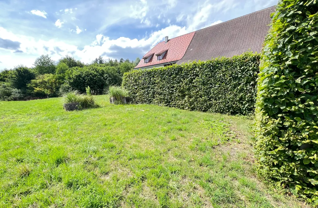 Wiesen Wald Bergsicht
