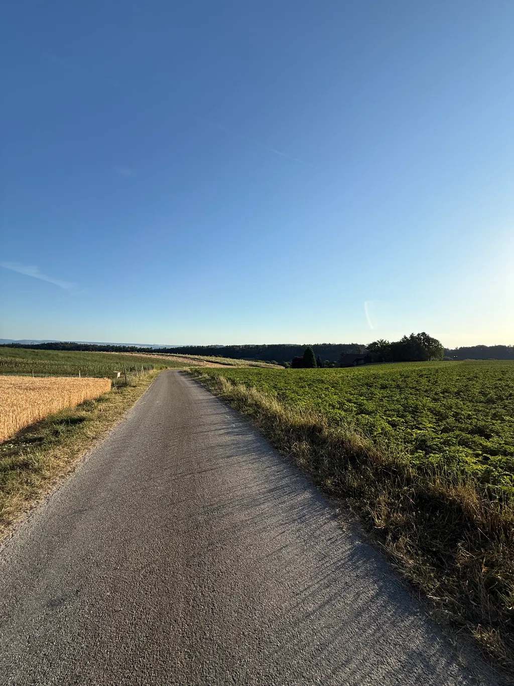 Bild von Laura für den Spot 3818