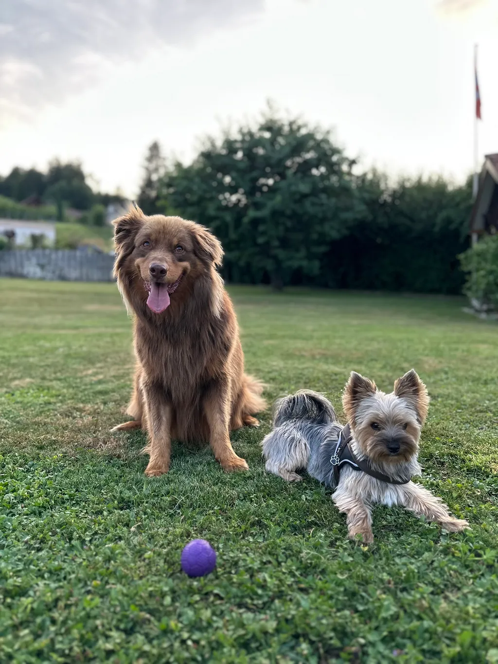 Bild von Fabio für den Spot 4206