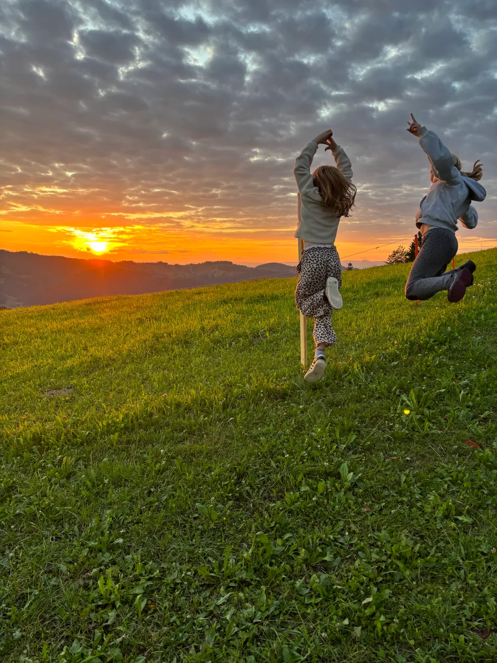 Image de Epp pour le spot 311