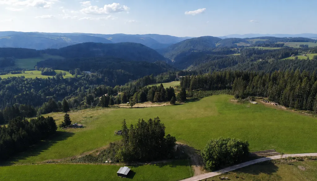 Schwarzwald Panorama in Mitten der Natur