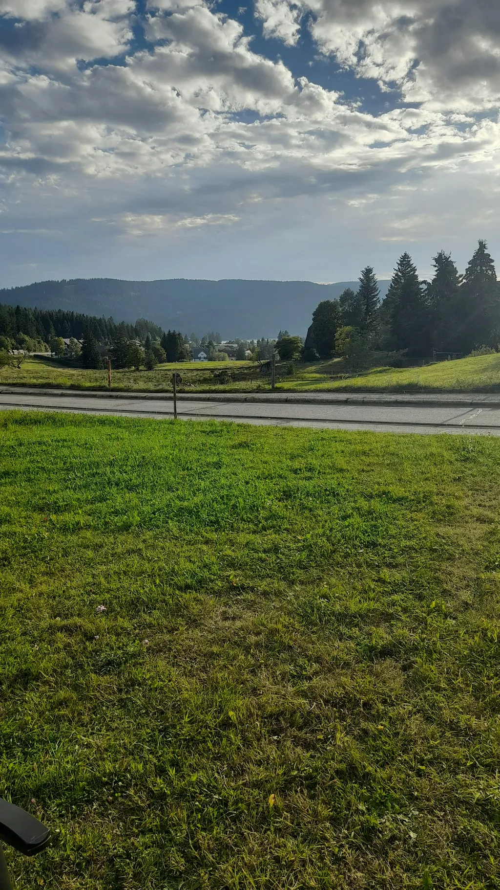 Wiese beim Schluchsee