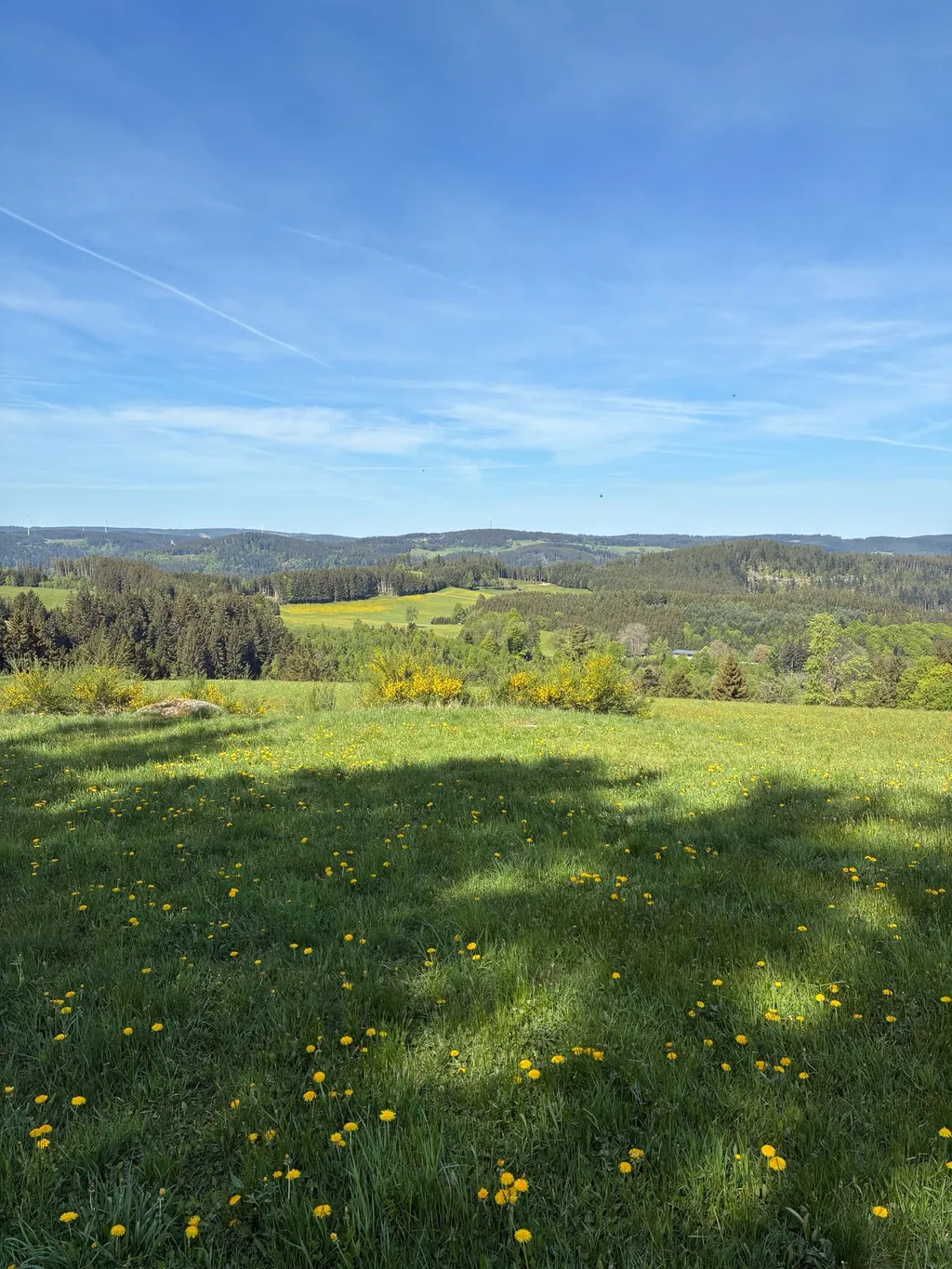 Alleine für Dich mit Schwarzwald-Panorama