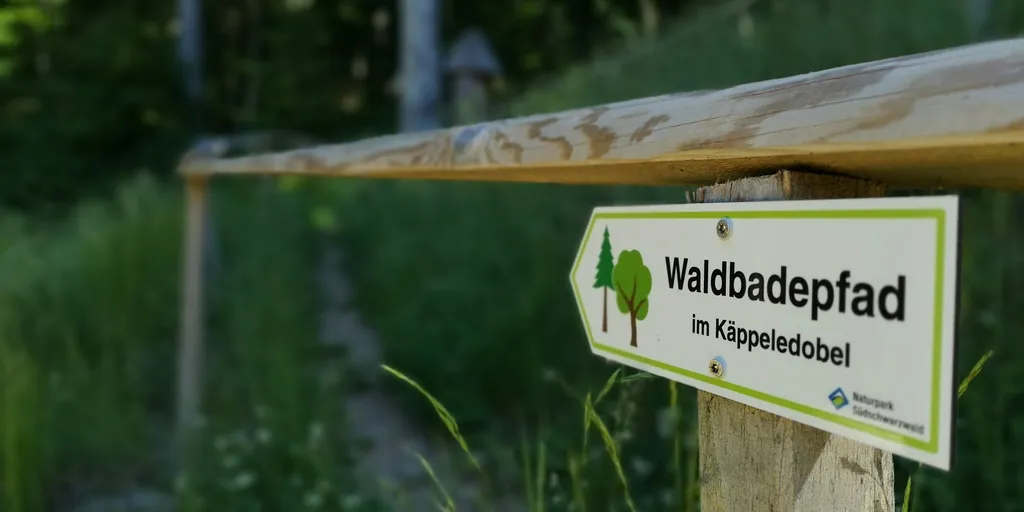 Waldbaden im Bad Krozinger Heilwald