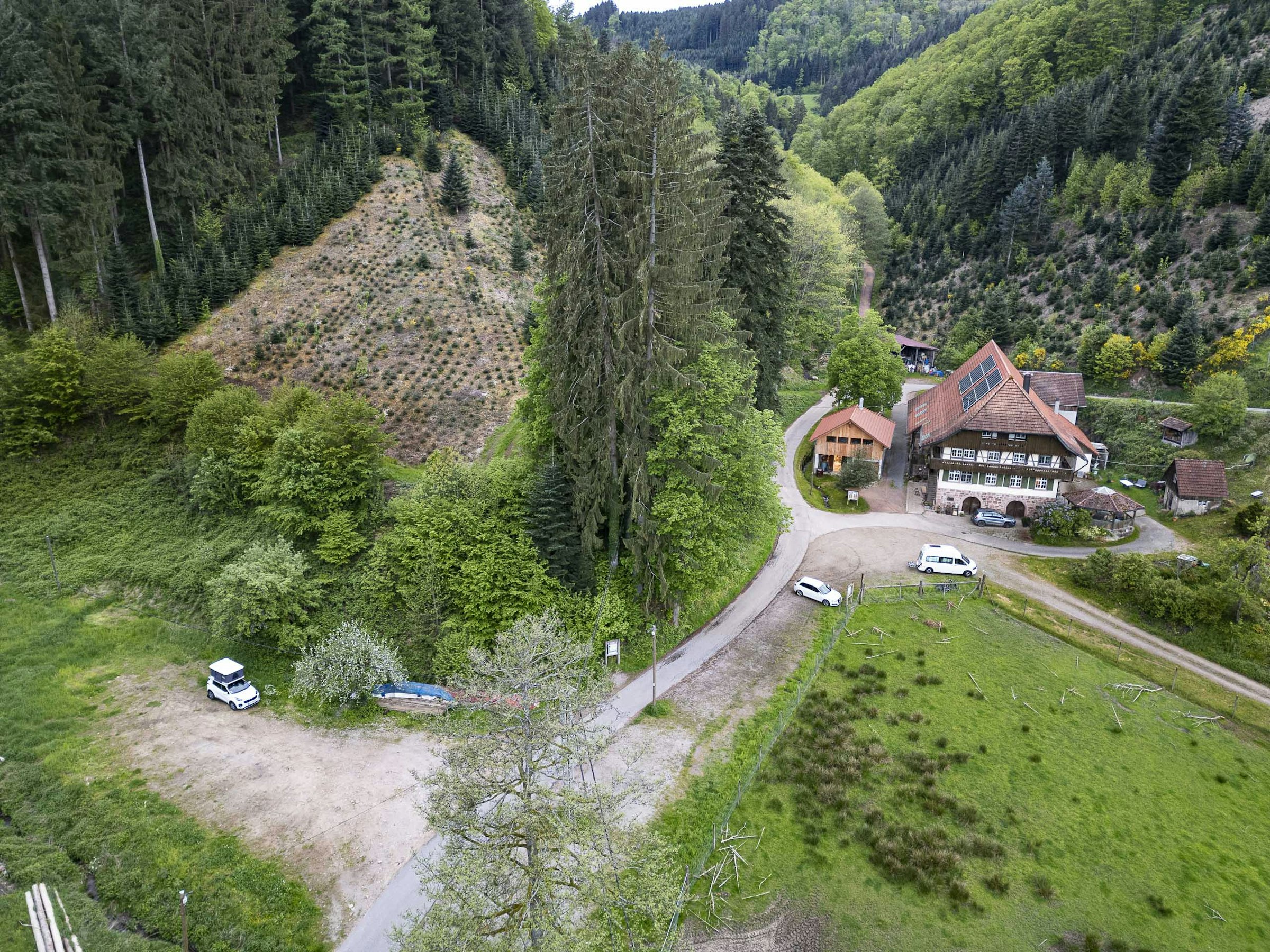 Serrerhof im Schwarzwald — photo 2