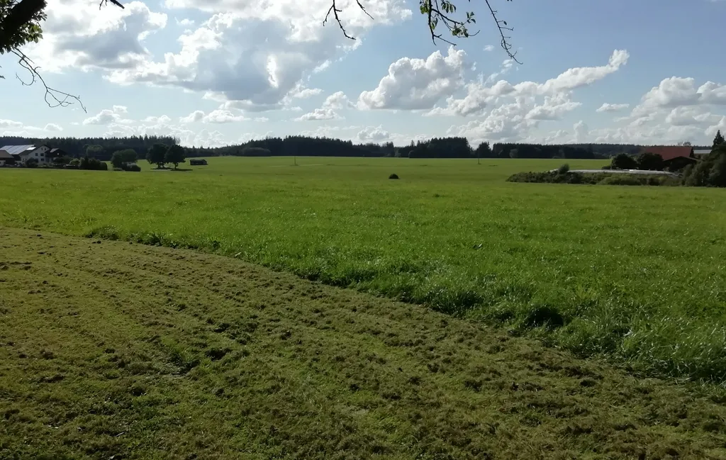 Camping mitten auf der Obstwiese