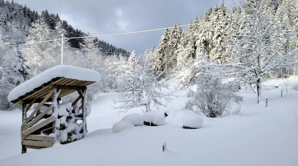 Wiesen zwischen Waldrand und Bach