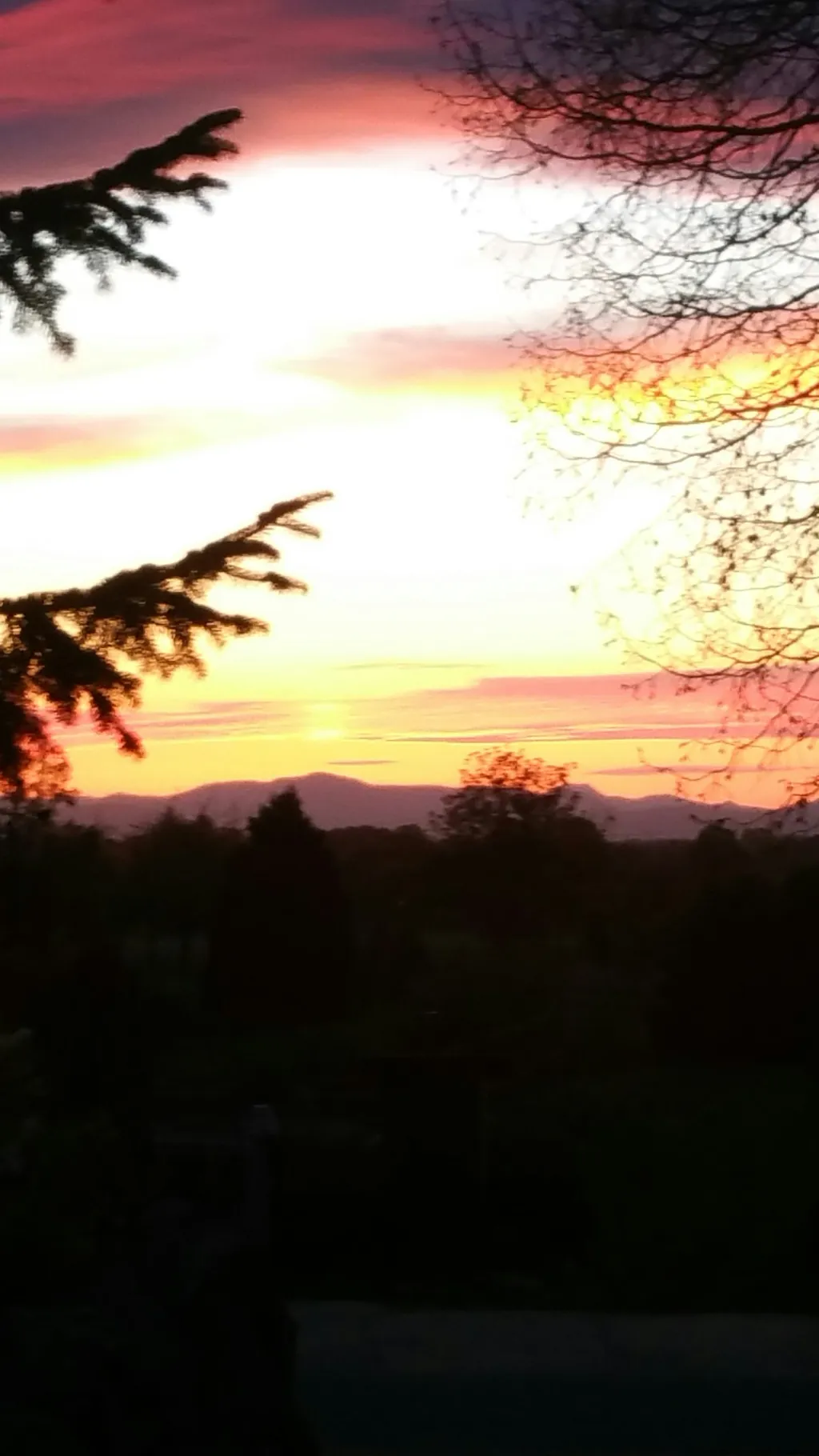 Elsassblick