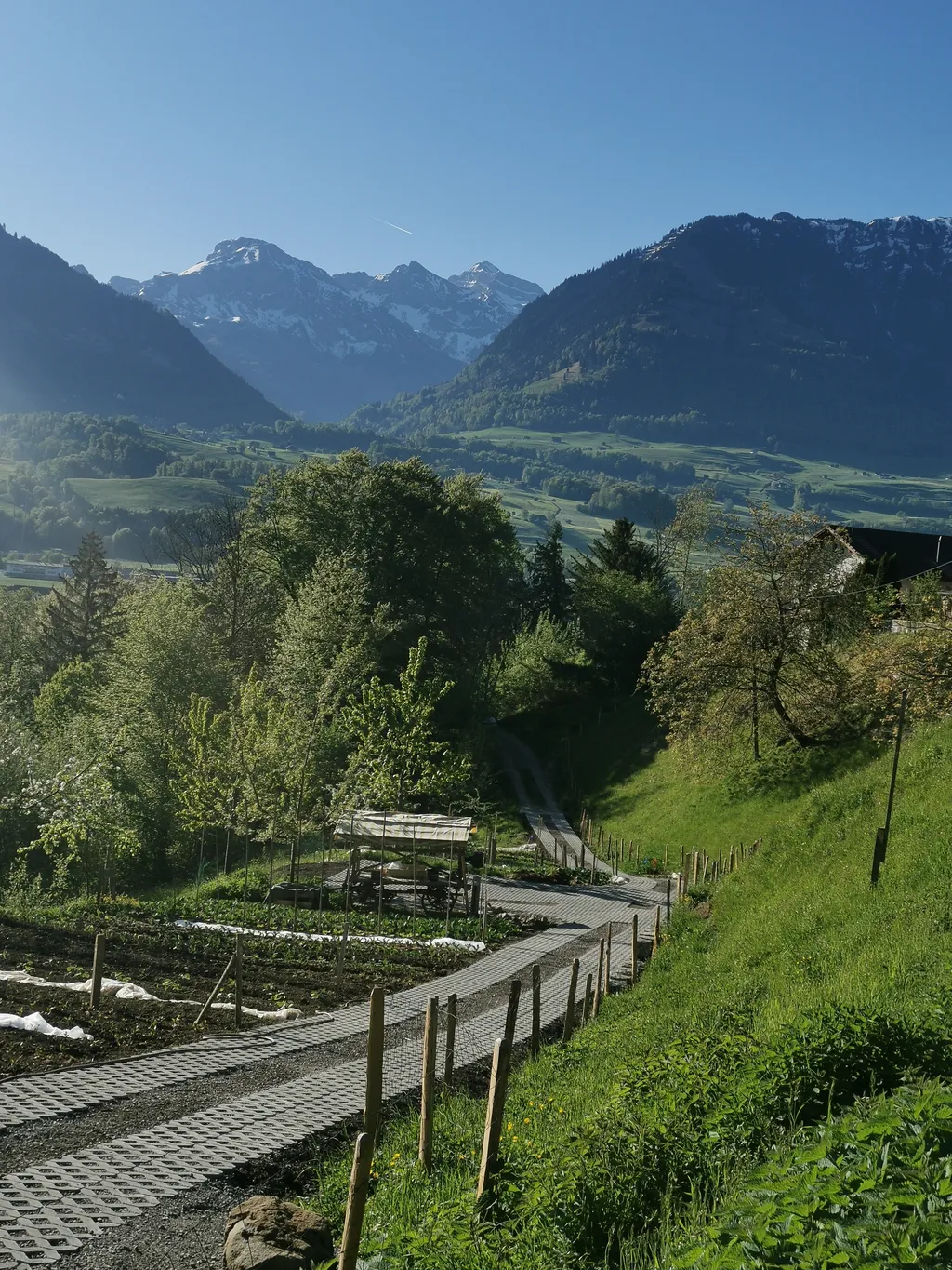 Summerweid in Sarnen