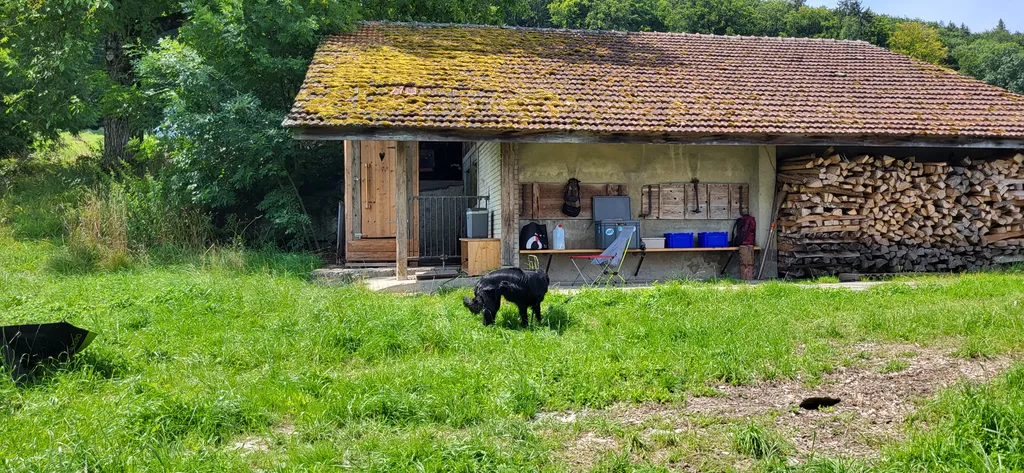 Bild von Moni für den Spot 3901