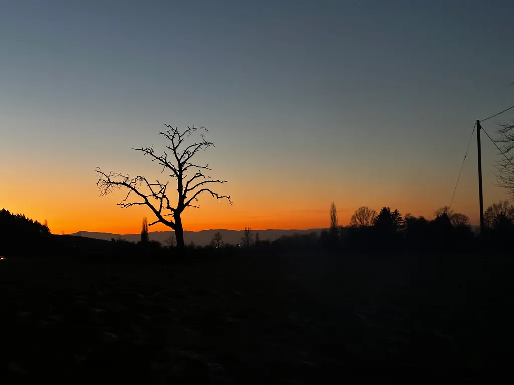 Bild von Dario für den Spot 1645
