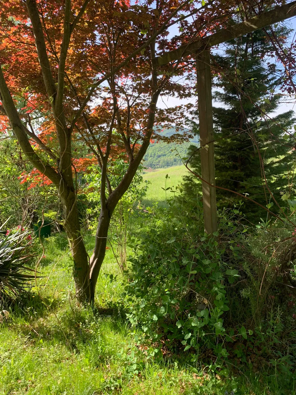 Naturparadies im Thermenland