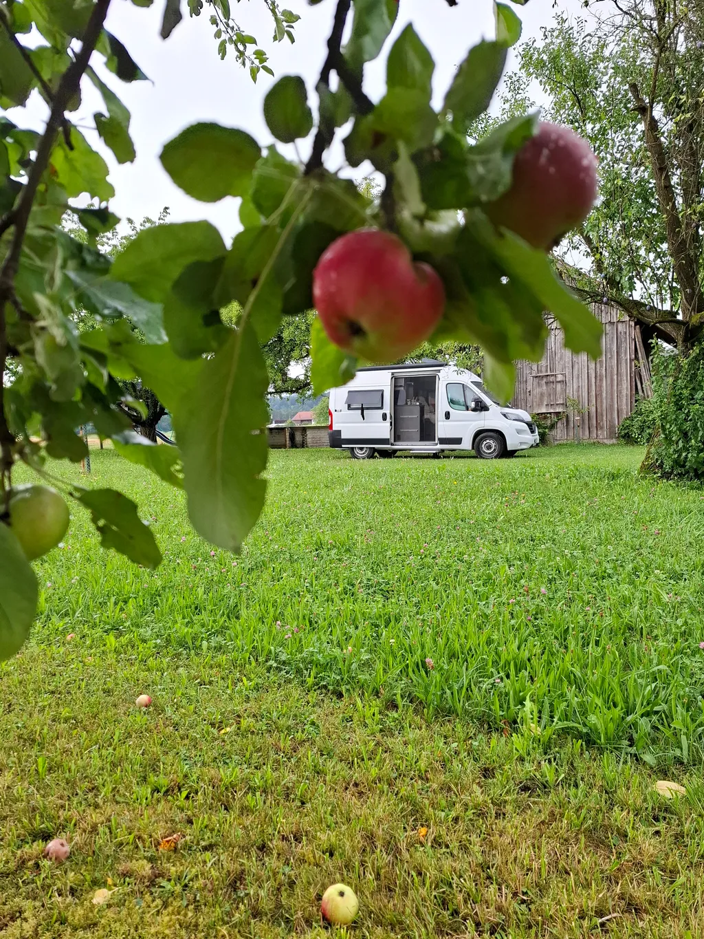 Bild von Denise für den Spot 234
