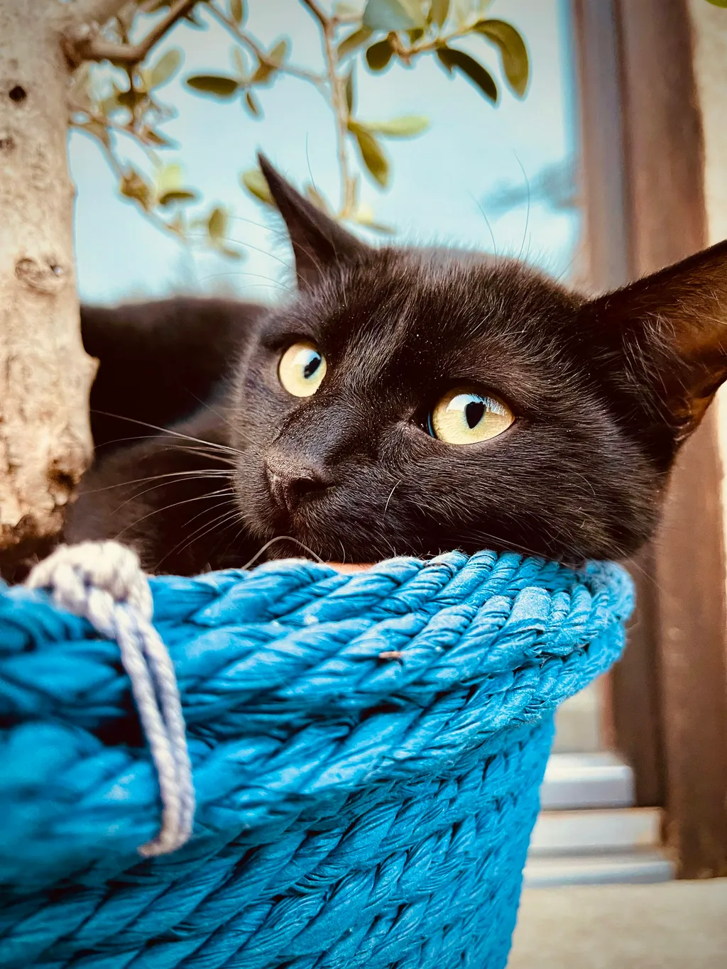 BerginselCamp - am Albtrauf