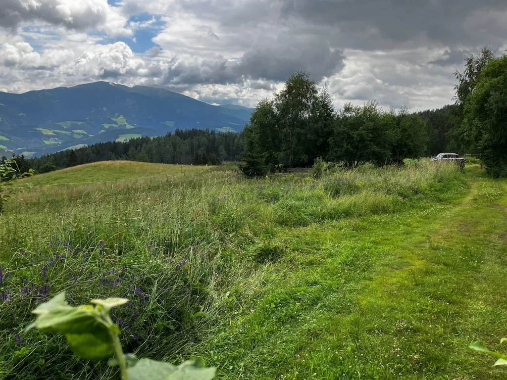 Sonniger Stellplatz im Zirbenland