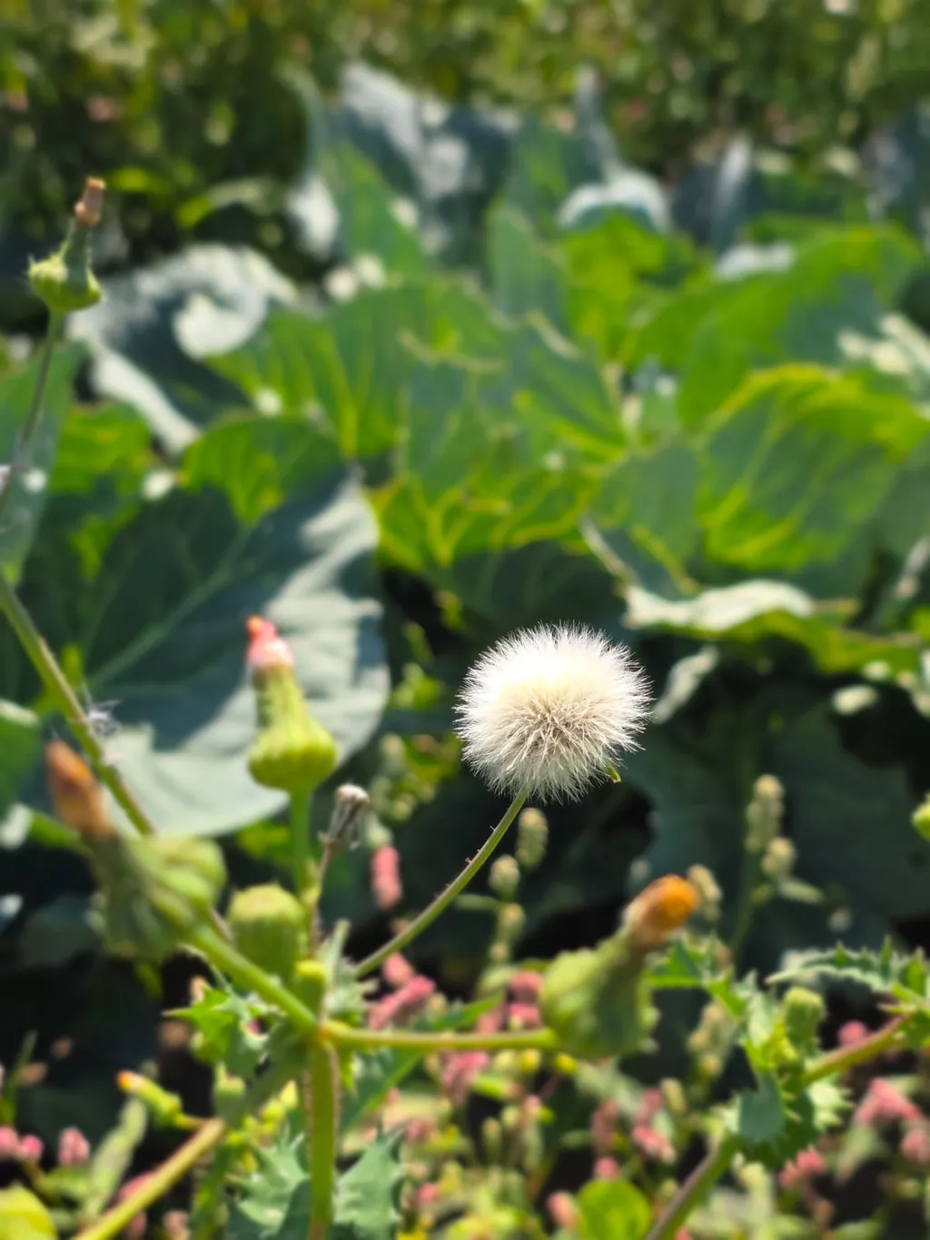 Bild von Jsabelle für den Spot 865