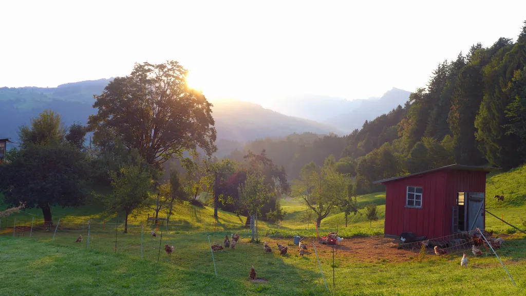 Bild von Karin für den Spot 550