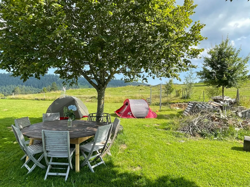 Camp Boinod
